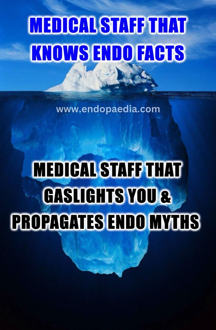 Endo Meme: Iceberg gaslighting